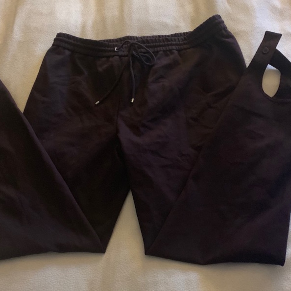 Women Beautiful New Theory Pull Up Stirups  Pants